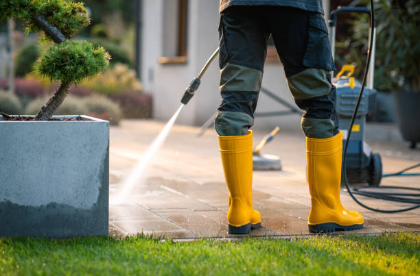 Best Pressure Washing Company Near Me  in La Grange, NC